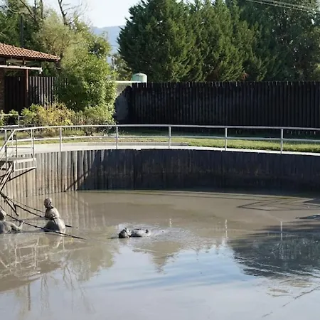 Marias * PalaiónTsiflíkion